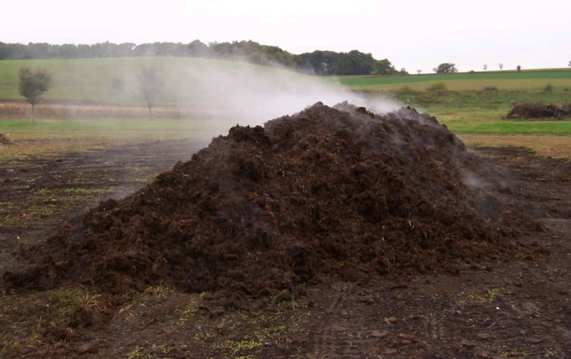 compost